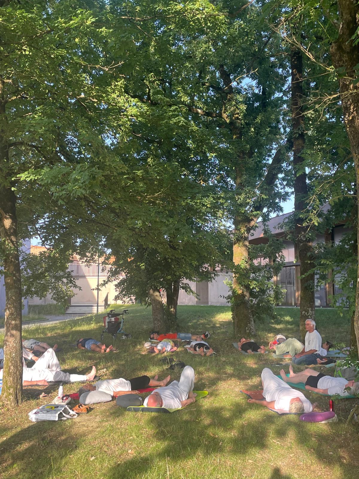 Relaxation sous les arbres phytoncide